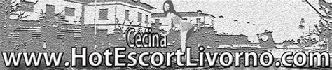 escort trans cecina|Escort Cecina